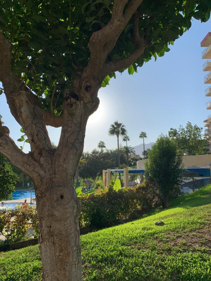 Minerva Apartment Benalmadena Bagian luar foto